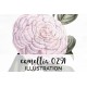 Camellia 0291