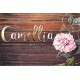 Camellia 0306