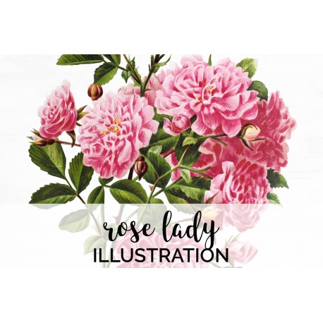 Rose Lady