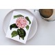 Tricolor Camellia
