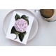 Camellia Countess of Derby