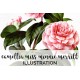 Camellia Miss Minnie Merritt