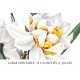 Narcisses Doubles