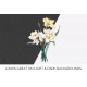 Narcisses Doubles
