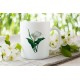 Calla Lily