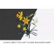 Daffodils Bunch