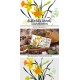 Daffodils Bunch