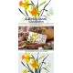 Daffodils Bunch