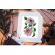 Clematis