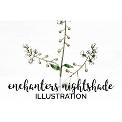 Enchanters Nightshade
