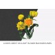 Double Tulip Yellow Rose
