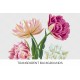 Double Tulips