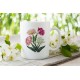 Double Tulips