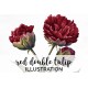 Red Double Tulip
