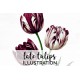 Late Tulips