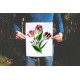 Var Red White Tulips