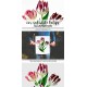 Var Red White Tulips