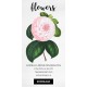 Camellia Reine des Beautes