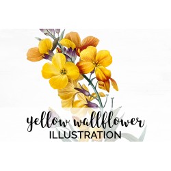 Yellow Wallflower