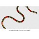 Southern Coral Snake