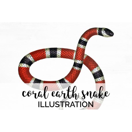 Coral Earth Snake