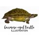 Burmese Eyed Turtle