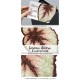 Begonia Decora