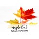 Maple Leaf