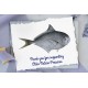 Rays Sea Bream