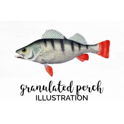 Granulated Perch