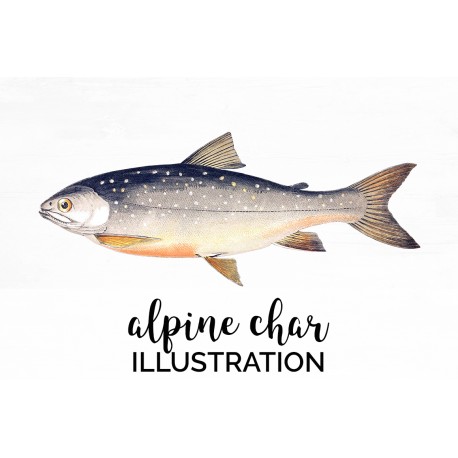 Alpine Char