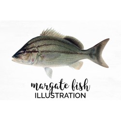 Margate Fish