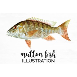 Mutton Fish