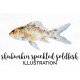 The Shubunkin speckled Goldfish