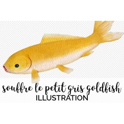 Le Souffre Le Petit gris Goldfish