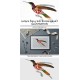 Crimson Topaz Male Hummingbird 1