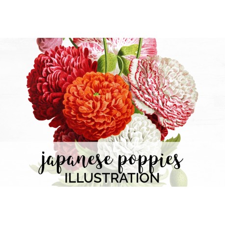 Japanese Poppies