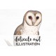 Delicate Owl