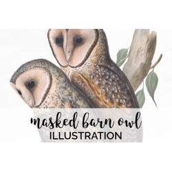 Masked Barn Owl
