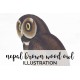 Nepal Brown Wood Owl