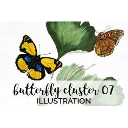 Vintage Butterfly Cluster 07