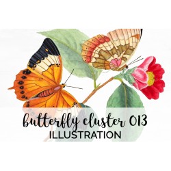 Vintage Butterfly Cluster 013
