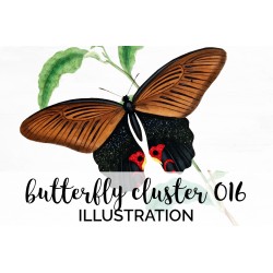 Vintage Butterfly Cluster 016