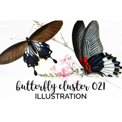 Vintage Butterfly Cluster 021