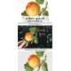 Roman Apricot
