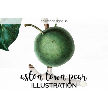 Aston Town Pear