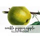 Cockle Pippin Apple