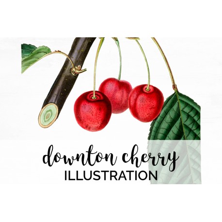 Downton Cherry