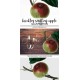Brickley Seedling Apple