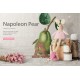 Napoleon Pear